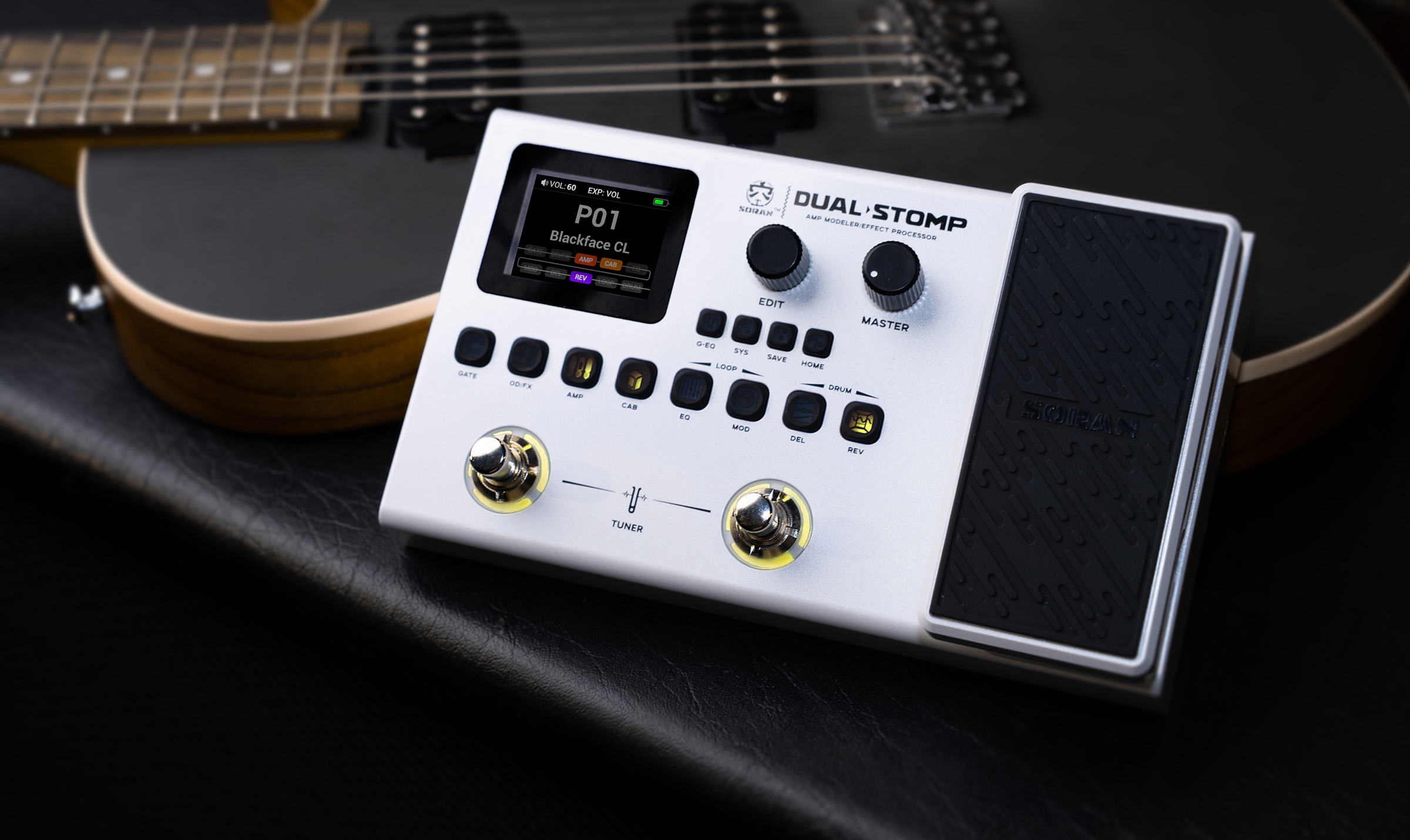 High-Precision DSM Modeling for Authentic Tube Amp Tone